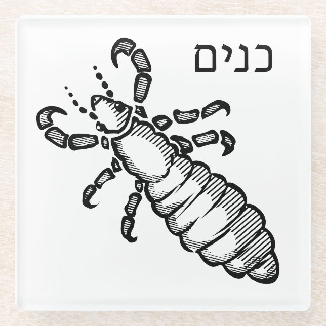 Lice Plague for Seder Glass Coaster (Front)