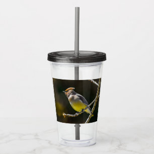 license acrylic tumbler