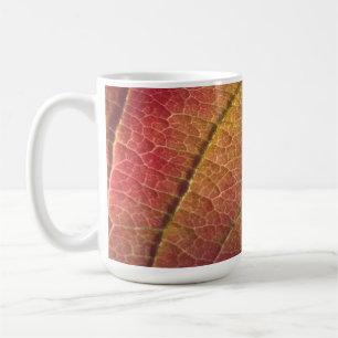 License Plate Frame Coffee Mug