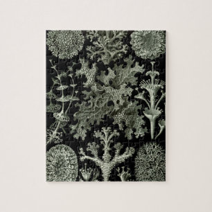 Lichen by Ernst Haeckel, Vintage Nature Plants Jigsaw Puzzle