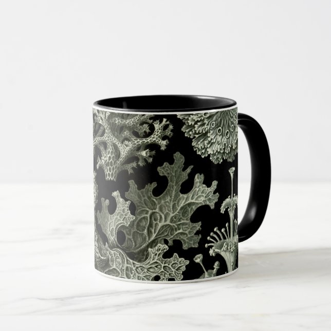 Lichen by Ernst Haeckel, Vintage Nature Plants Mug (Front Right)