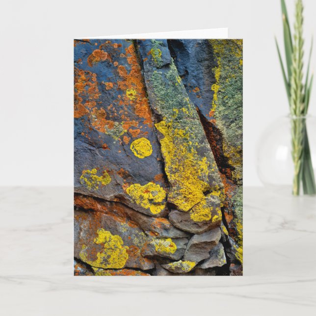 Lichen Covered Rocks Card (Front)