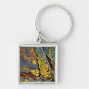 Lichen Covered Rocks Key Ring