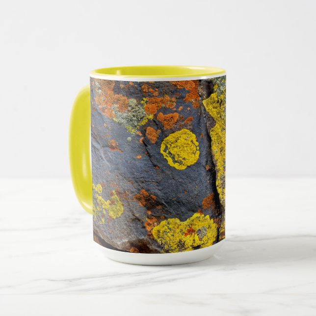 Lichen Covered Rocks Mug (Front Left)