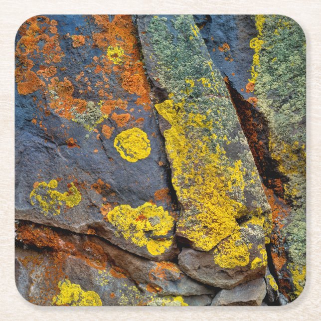 Lichen Covered Rocks Square Paper Coaster (Front)