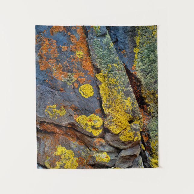 Lichen Covered Rocks Tapestry (Front)