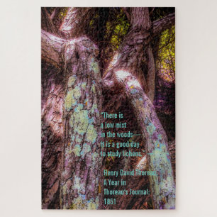 Lichen in Dappled Sunlight Jigsaw Puzzle