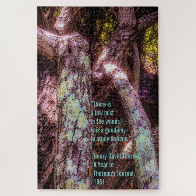 Lichen in Dappled Sunlight Jigsaw Puzzle (Vertical)