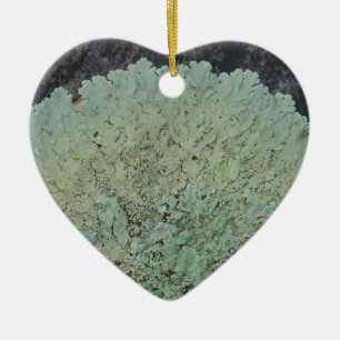 Lichen Mossy Circle Ceramic Tree Decoration