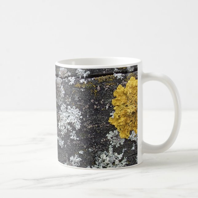 Lichen Mug (Right)