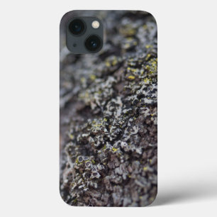 Lichen on Bark iPhone 13 Case