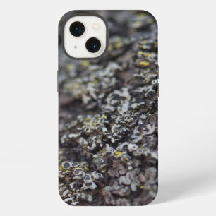 Lichen on Bark iPhone Case