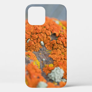 Lichen orange moss stone grey iPhone 12 case
