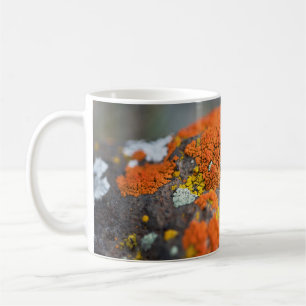 Lichen orange moss stone grey coffee mug