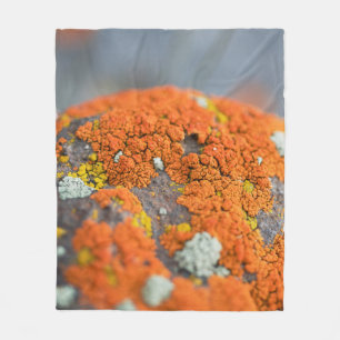 Lichen orange moss stone grey fleece blanket