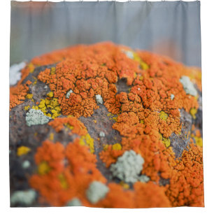 Lichen orange moss stone grey shower curtain