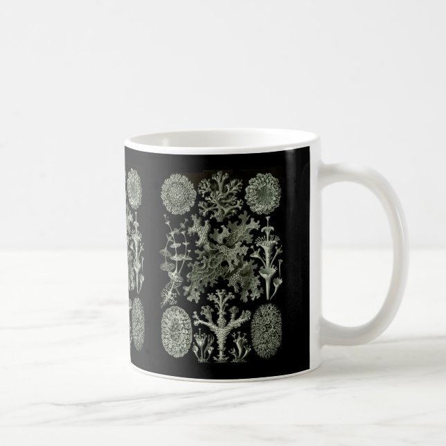 Lichens Coffee Mug (Right)