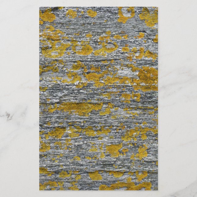 Lichens on granite stone stationery (Front)
