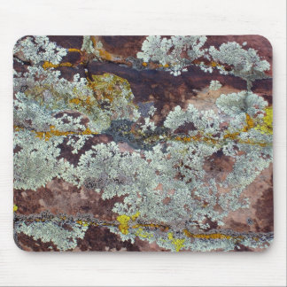 Lichens on Rock #4 Mouse Pad