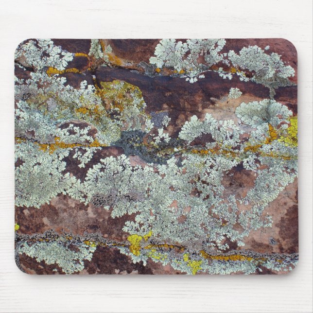 Lichens on Rock #4 Mouse Pad (Front)