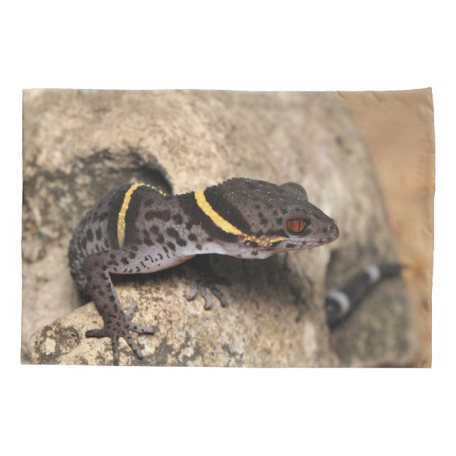 Lichtenfelder's gecko pillowcase (Back)