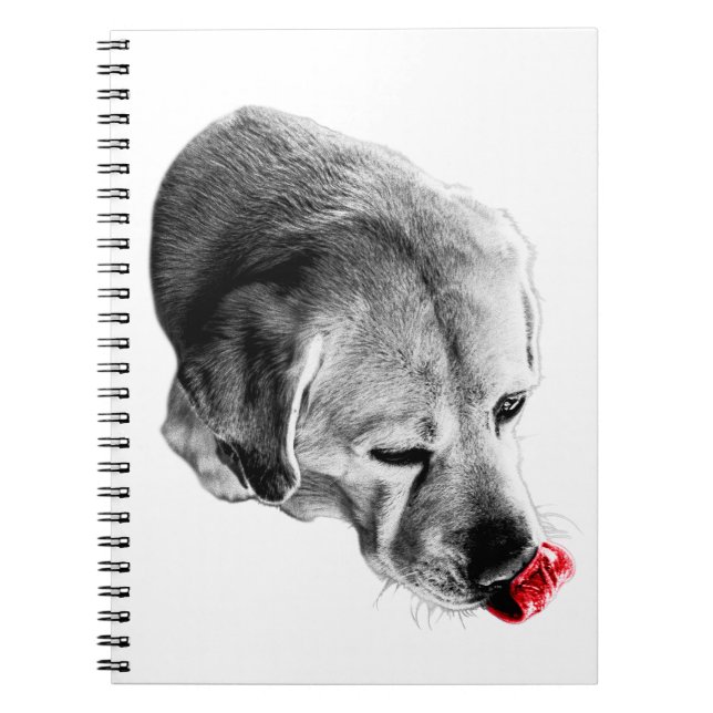 Lick of Inspiration Notebook (Front)