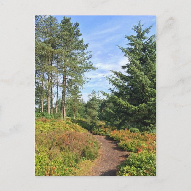 Lickey Hills Postcard (Front)