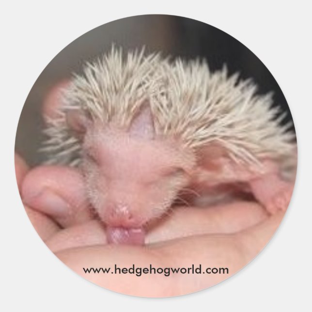 Licking baby sticker (Front)