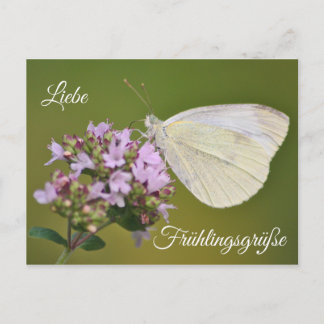 Liebe Frühlingsgrüße Postcard