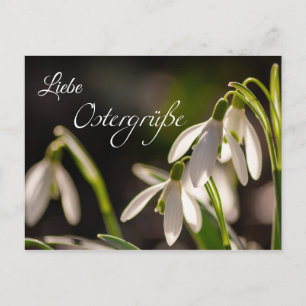 Liebe Ostergrüße aus dem Briefkasten Postcard