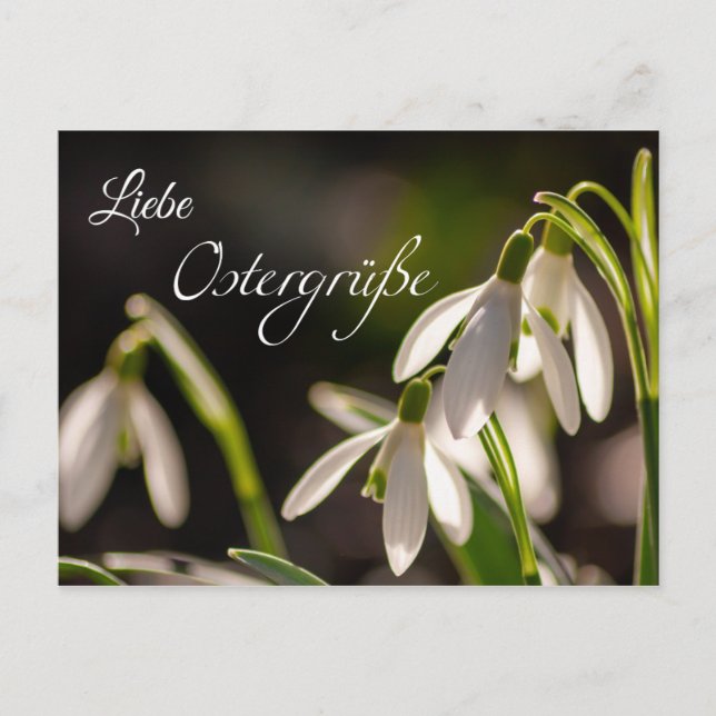 Liebe Ostergrüße aus dem Briefkasten Postcard (Front)