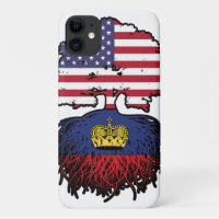 Liechtenstein American USA United States