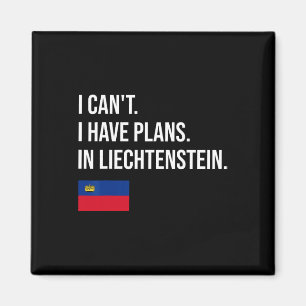 Liechtenstein magnet