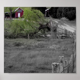 Life after Disaster Poster