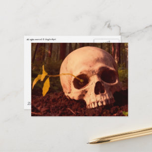 Life and Death Postcard