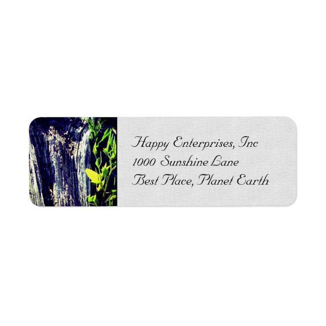 Life and Death Return Address Label (Front)