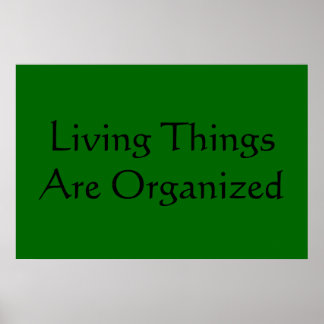 Life Characteristics Poster