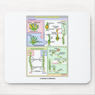 Life Cycle Of A Typical Moss (Bryophyte) Mouse Pad