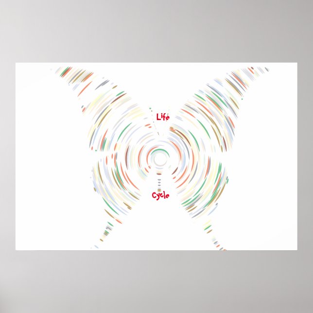 Life Cycle   Poster (Front)