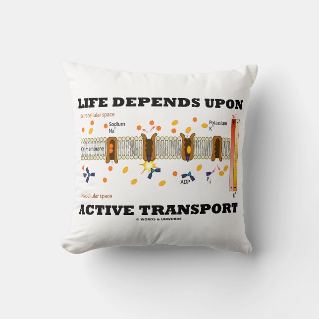 Life Depends Upon Active Transport Na-K Pump Cushion (Front)