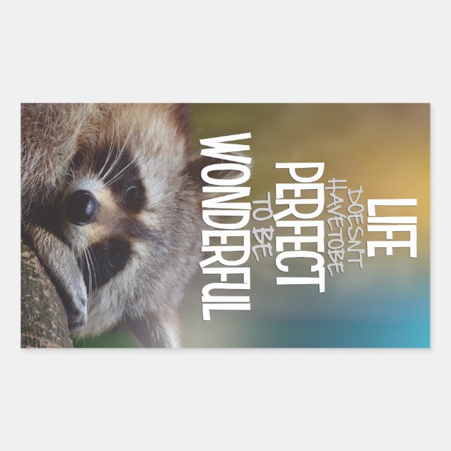LIfe DoesntHave ToBe Perfect Racoon Inspirational Rectangular Sticker (Front)