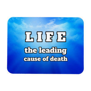 Life funny magnet
