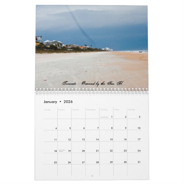 Life in Lightning Alley by:Jason Weingart Calendar (Jan 2026)