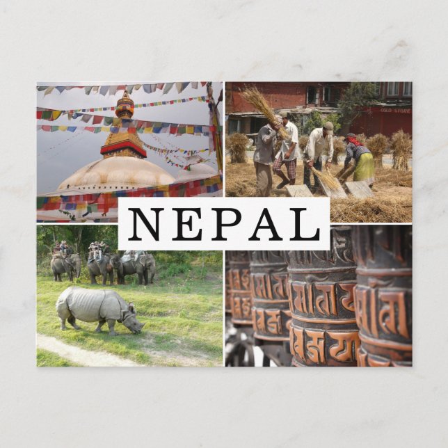 Life in Nepal touristic photo collage Postcard (Front)