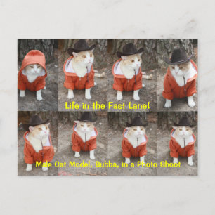 Life in the Fast Lane! Postcard