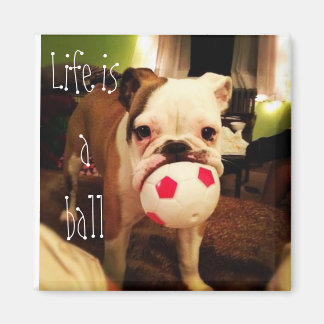 Life is a ball ! magnet
