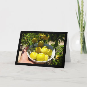 Life is a Bowl of Plums Card