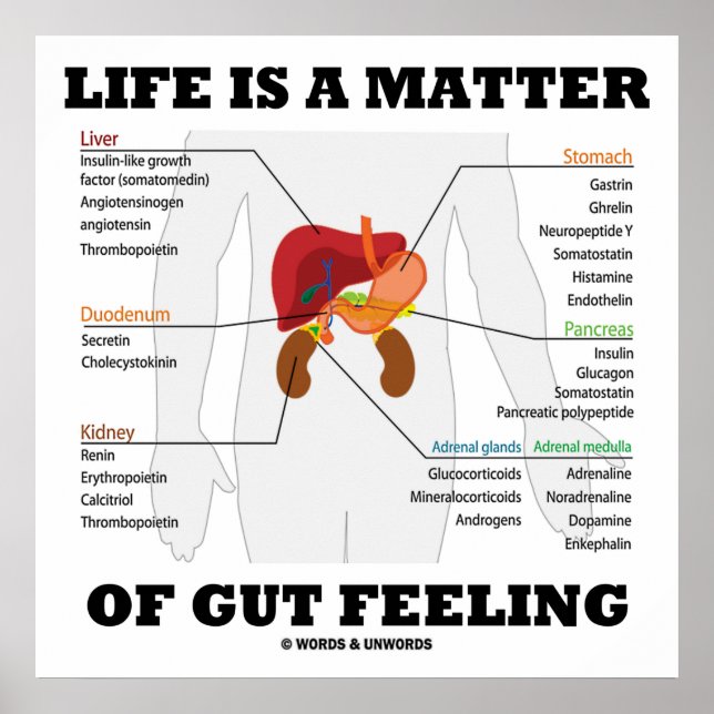 Life Is A Matter Of Gut Feeling Anatomical Humour Poster (Front)