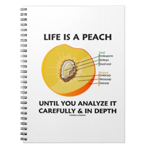 Life Is A Peach Until You Analyse Carefully Depth Notebook