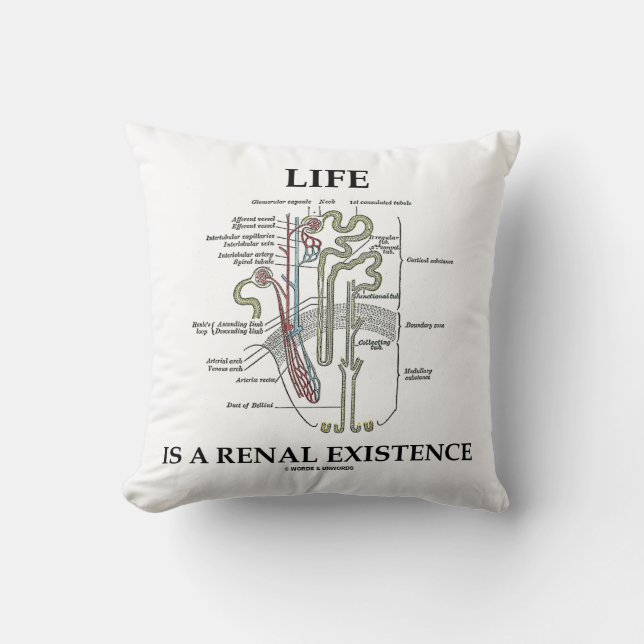 Life Is A Renal Existence (Kidney Nephron) Cushion (Front)